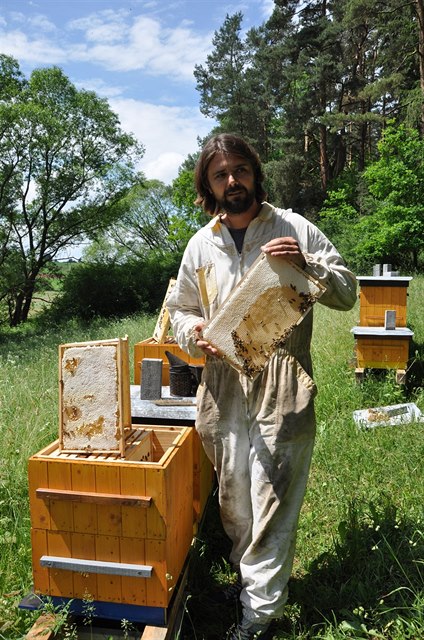 Plástečkový med vzniká tak, že se do včel vloží prázdný rámek či jen horní...