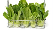 Pak choi