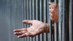 Právo a  pořádek za mřížemi: vězeňské gangy hlídají spravedlnost