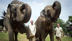 Oslava píchodu slonice Gulab.
