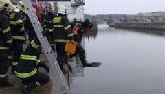 Ve Vltavě se utopilo vozítko Segway. Podívejte se
