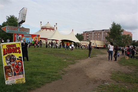 Protest spoluorganizovaly neziskovky 269Life a Cirkusy bez zvíat.