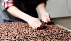 Tmavá okoláda je také velmi významným zdrojem antioxidant, kdy poslední...
