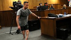 Pistorius hrl u soudu na city, chodil po pahlech. No a? Chtl nkoho zabt!