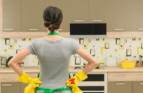 Žena v domácnosti (ilustrační foto)