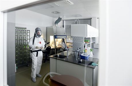 Biologické centrum má laboratoře s vysokou úrovní zabezpečení | Věda |  Lidovky.cz