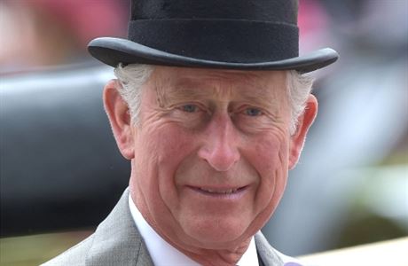Britsk korunn princ Charles.