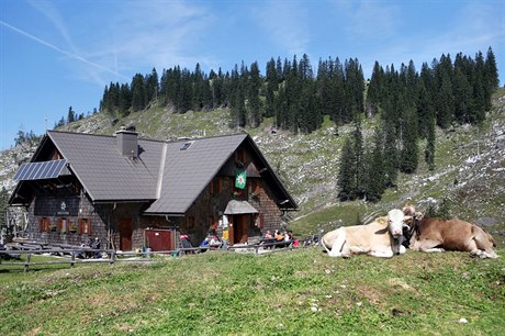 Od Vídeských Alp a do Mostviertelu na vás ekají skvle upravené turistické...