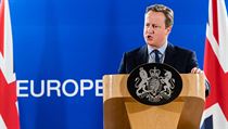 Britsk premir David Cameron na sumkitu v Bruselu.