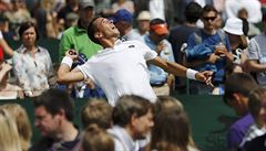 Luká Rosol na Wimbledonu 2016.