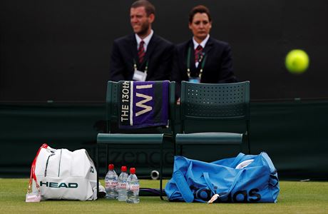 Wimbledon - ilustraní foto.
