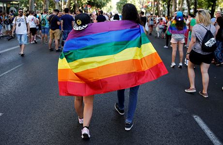 Vlajka LGBT komunity.