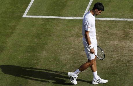 Novak Djokovi letos sezónní grandslam nezíská.