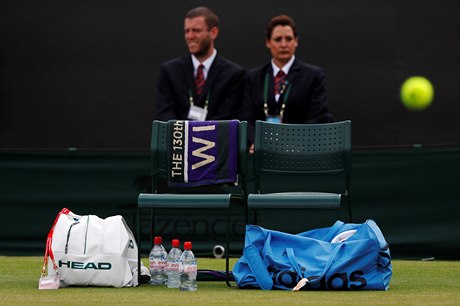 Wimbledon - ilustraní foto.