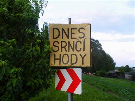 Poslední víkend v ervnu se ve Václavovicích konaly Srní hody.