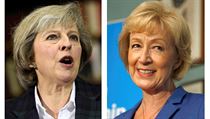 Theresa May x Andrea Leadsom