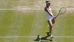 Jaroslava vedovová ve tvrtfinále Wimbledonu.