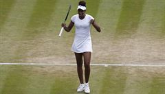 Venus Williamsová slaví postup do semifinále Wimbledonu pes Jaroslavu...