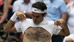 Semifinále Wimbledonu Roger Federer vs. Milo Raoni.