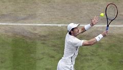 Semifinále Wimbledonu Andy Murray vs. Tomá Berdych.