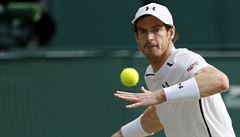 Andy Murray v semifinále Wimbledonu.