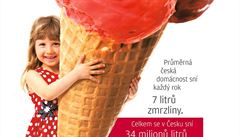 V prmru sní eská domácnost 7 litr zmrzliny.