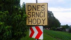 Poslední víkend v červnu se ve Václavovicích konaly Srnčí hody. | na serveru Lidovky.cz | aktuální zprávy