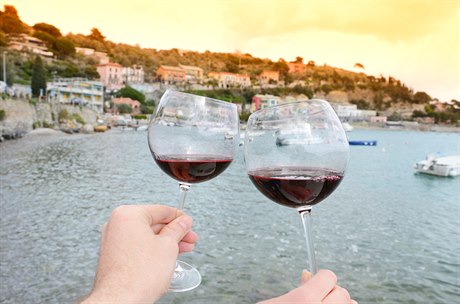Manuál na dovolenou aneb jaké víno ochutnat v Itálii či Chorvatsku?
