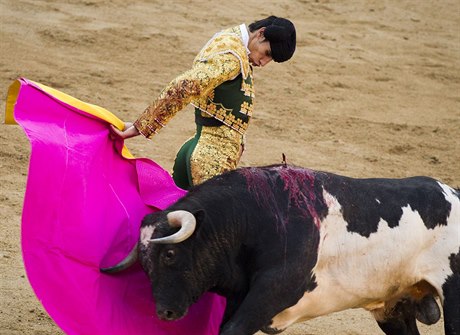 Španělský torero Victor Barrio byl první lidskou obětí býčích zápasů od roku...