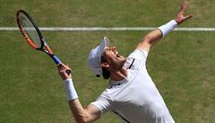 Andy Murray ve finále Wimbledonu.