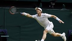 Andy Murray ve finále Wimbledonu.