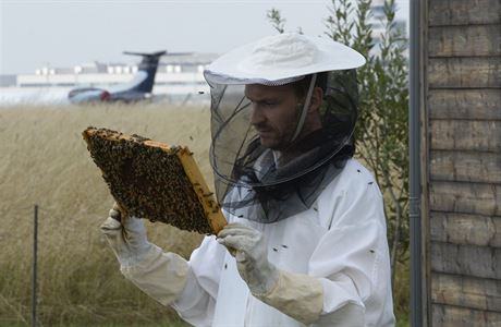 Vely pomáhají hlídat kvalitu ovzduí na praském Letiti Václava Havla. O...