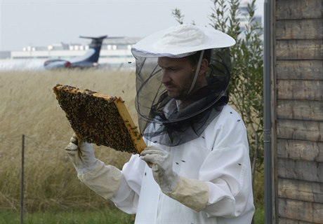 Včely pomáhají hlídat kvalitu ovzduší na pražském Letišti Václava Havla. O...