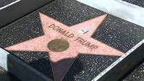 Hvzda Donalda Trumpa na hollywoodskm chodnku slvy.