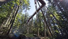 Stezka v korunách strom v Bavorském národním parku
