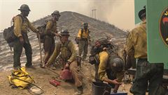 Hasi�i z USDA Forest Service.