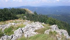 Pohledy z nejvyího vrcholu Banátu Svinicea Mare a tamní kvtena (1225 metr...