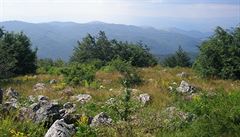 Pohledy z nejvyího vrcholu Banátu Svinicea Mare a tamní kvtena (1225 metr...