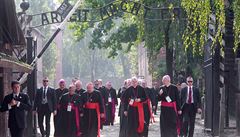 Kardinálové v Osvtimi.