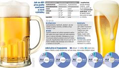 Pivo (ilustraní foto).