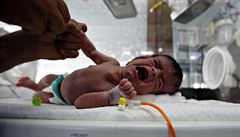 Novorozené dít pláe na jednotce intenzivní pée v nemocnici v Saná.
