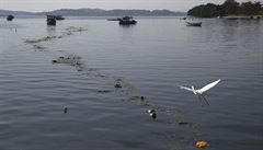 Odpadky v zálivu Guanabara, kde se konají jachtaské soute.