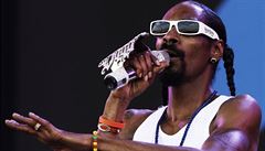 Na koncertě Snoop Dogga se zranilo 42 lidí. Přepadli přes zábradlí