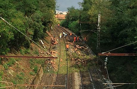 Francouzsk drhy uvedly, e vlak s vce ne 200 cestujcmi narazil do stromu...