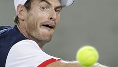 Andy Murray ve finále Ria.