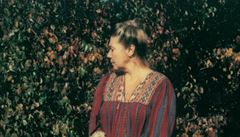 Jeden z dra�ených polaroid� Andreje Tarkovského.