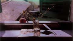 Polaroid Andreje Tarkovského.