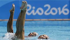 ANKETA: Synchronizované plavání, šerm, drezúra. Který sport byste z olympiády vyřadili?