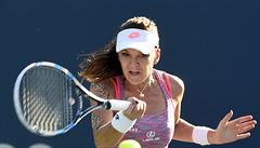 Agnieszka Radwaská v píprav na US Open v New Havenu.