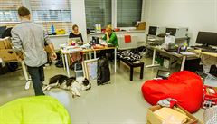 Ond�ej �teffl loni v zá�í otev�el na pra�ském Ji�ním M�st� novou základní...